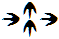 0118.Bob.png