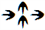 Bob.png